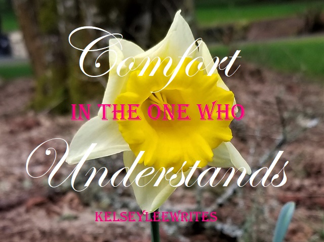 Comfort in the One Who Understands