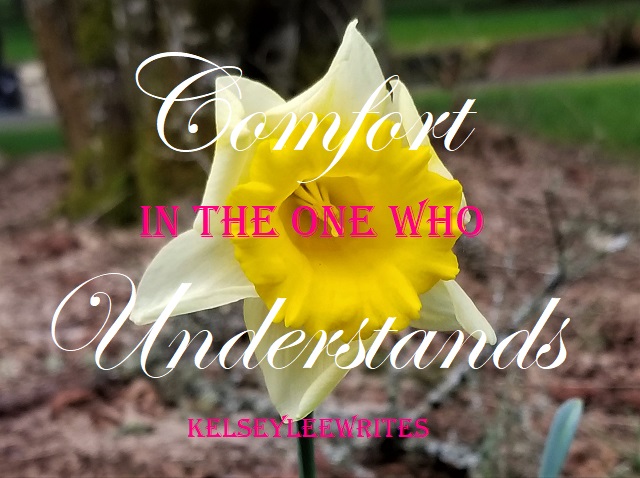 Comfort in the One who Understands