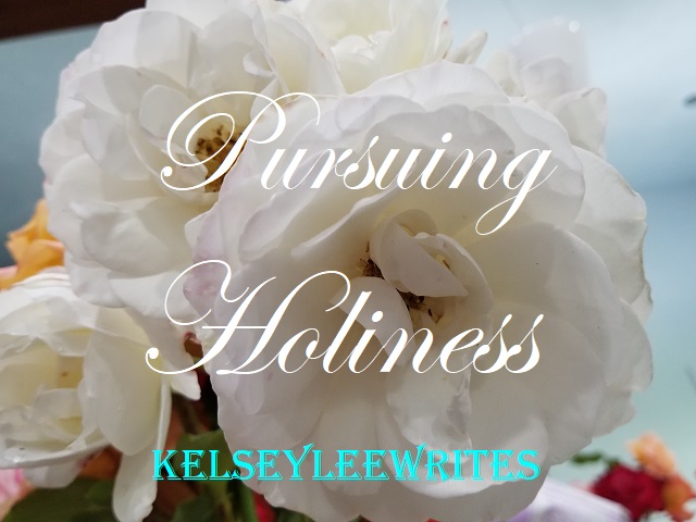 Pursuing Holiness