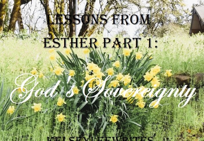 Lessons from Esther Part 1: God’s Sovereignty