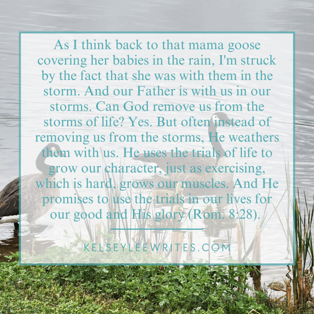 As I think back to that mama goose covering her babies in the rain, I'm struck by the fact that she was with them in the storm. And our Father is with us in our storms. Can God remove us from the storms of life? Yes. But often instead of removing us from the storms, He weathers them with us. He uses the trials of life to grow our character, just as exercising, which is hard, grows our muscles. And He promises to use the trials in our lives for our good and His glory (Rom. 8:28).