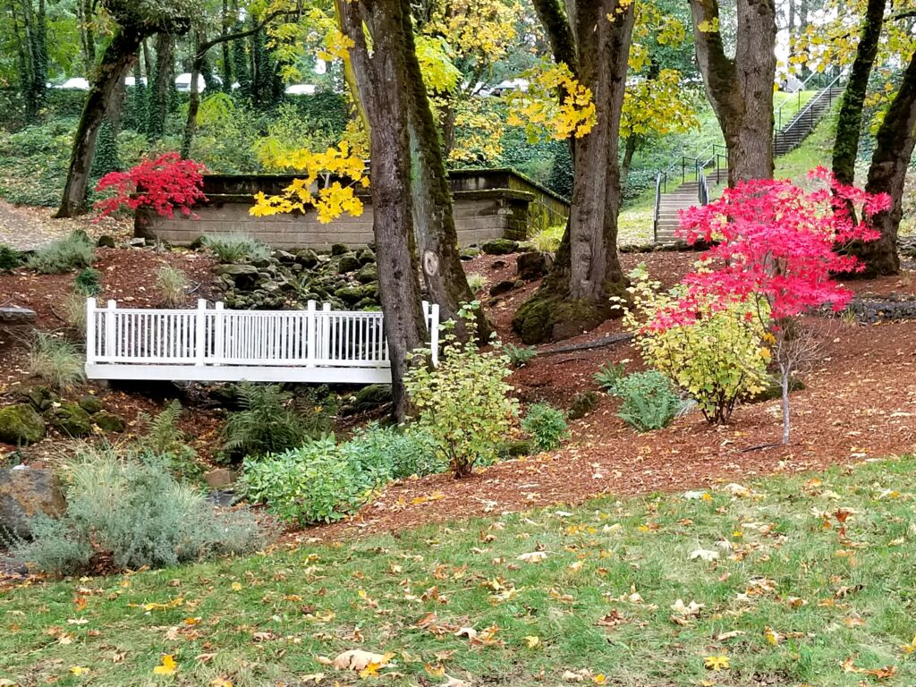 A bridge during autumn