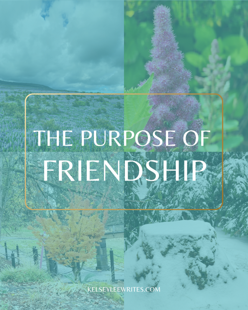 the purpose of friendship